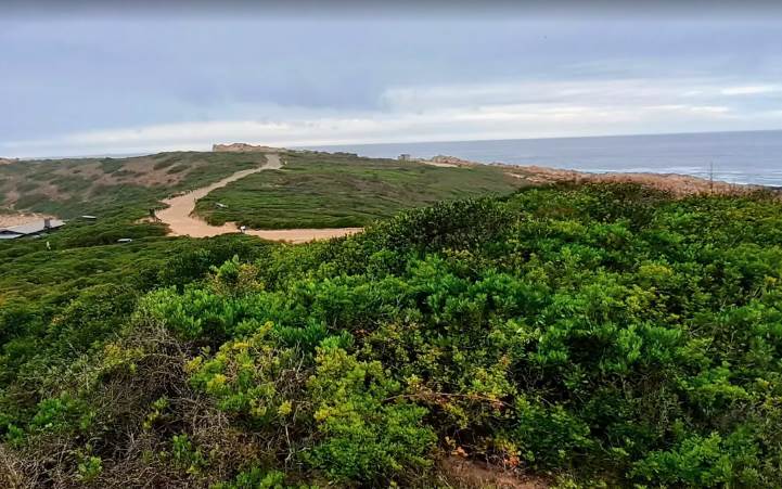 556 m² Land available in Boggomsbaai photo number 5