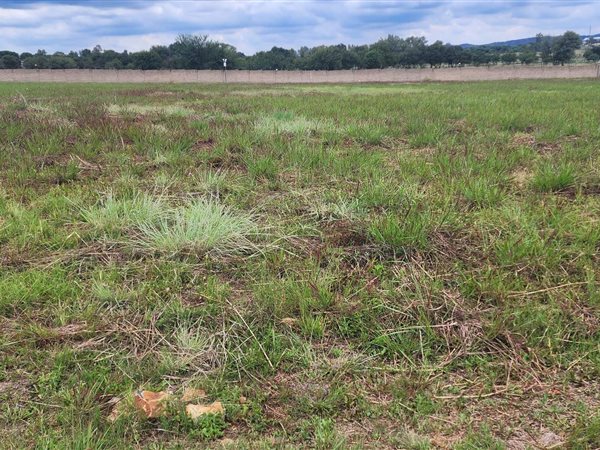 5 000 m² Land 5 000 m² Land