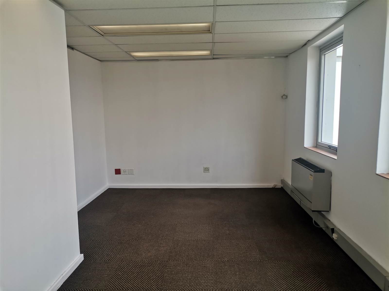 145  m² Commercial space in Rosebank photo number 10