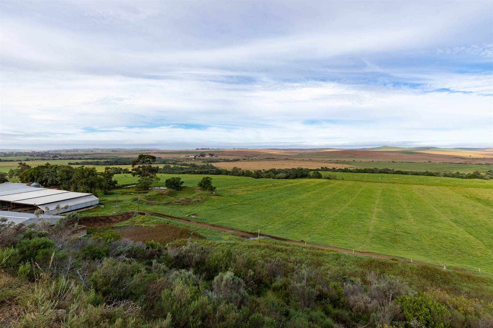 100 ha Farm in Riversdale photo number 10