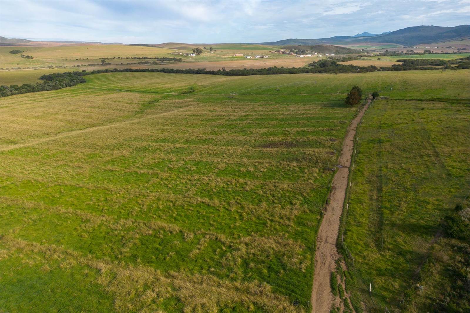 100 ha Farm in Riversdale photo number 2