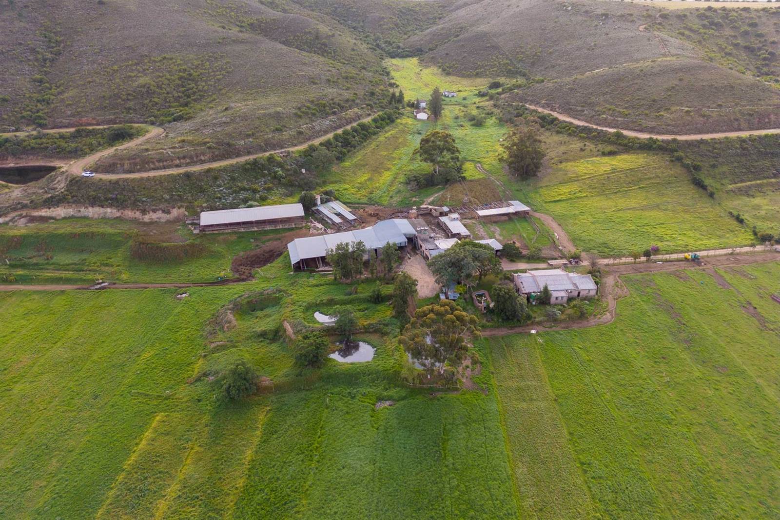 100 ha Farm in Riversdale photo number 1