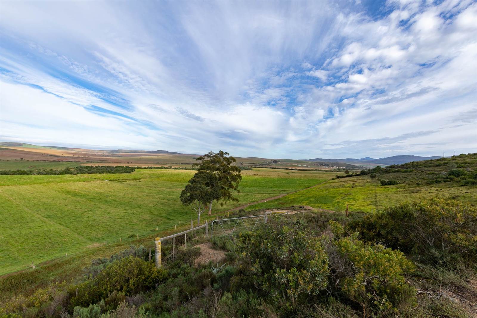 100 ha Farm in Riversdale photo number 12