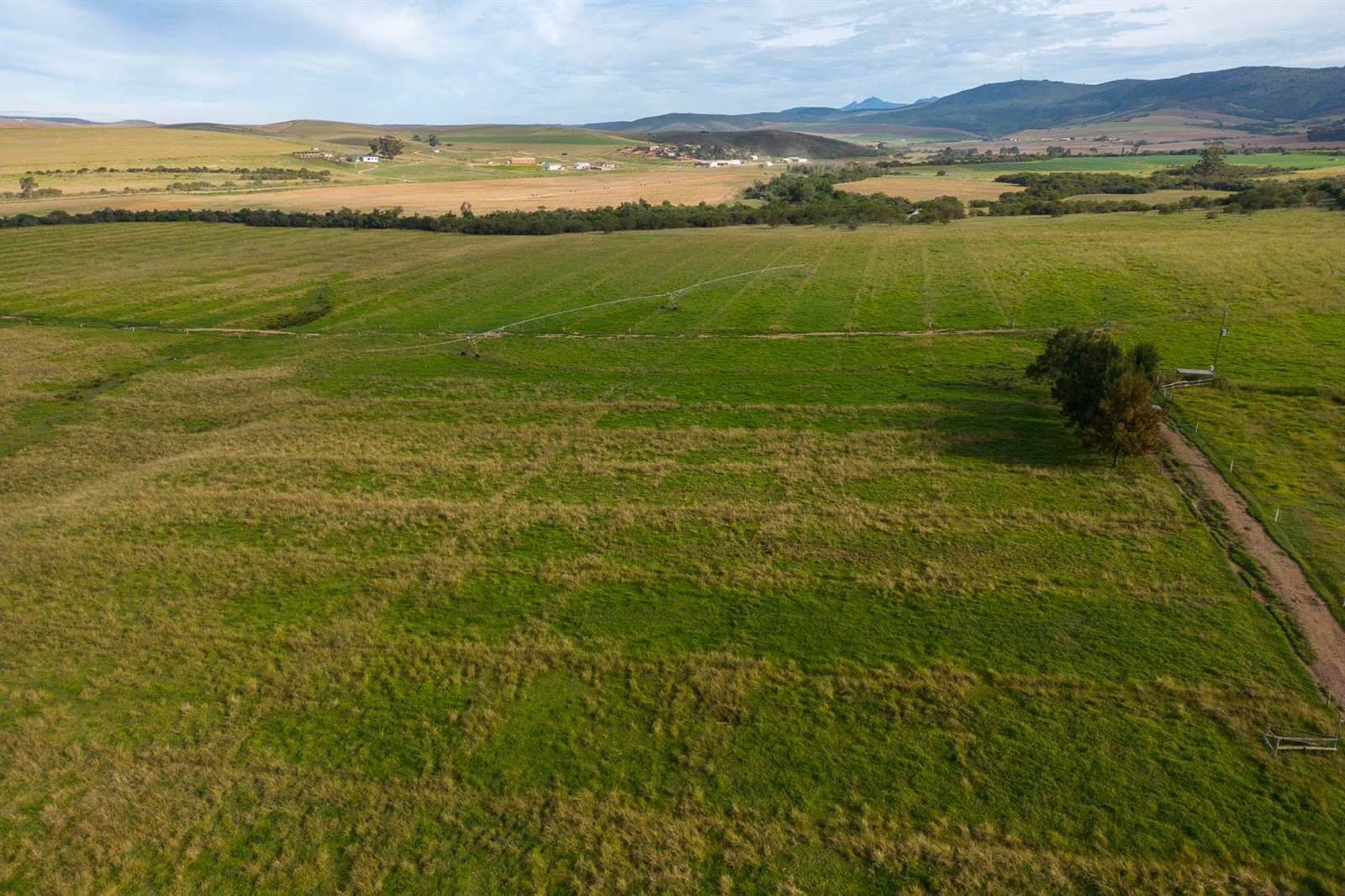 100 ha Farm in Riversdale photo number 3
