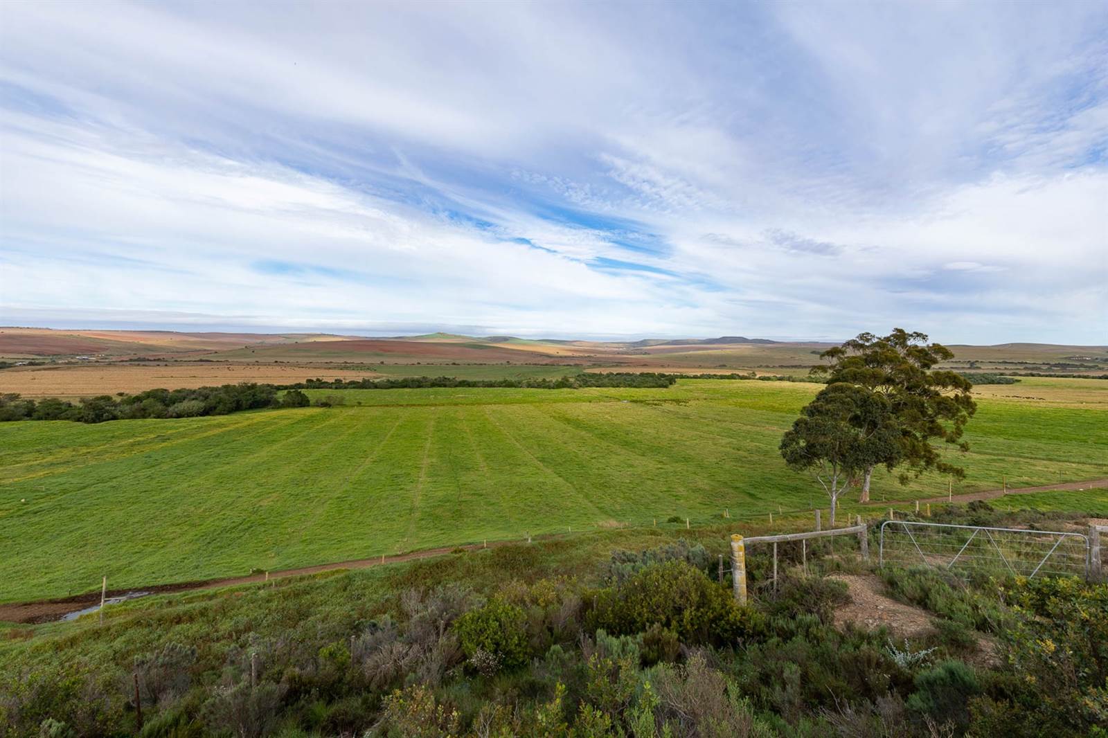 100 ha Farm in Riversdale photo number 11
