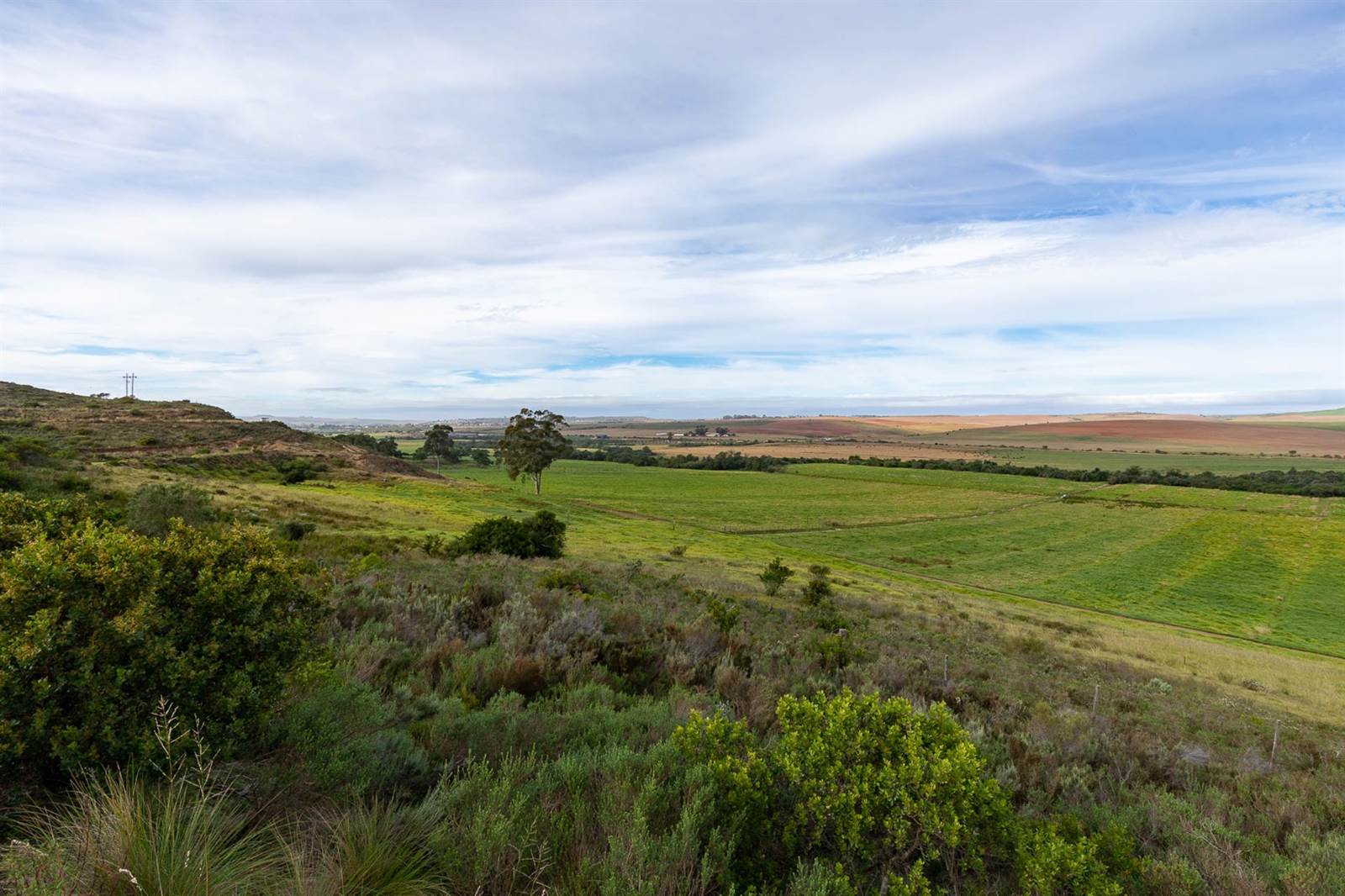 100 ha Farm in Riversdale photo number 14