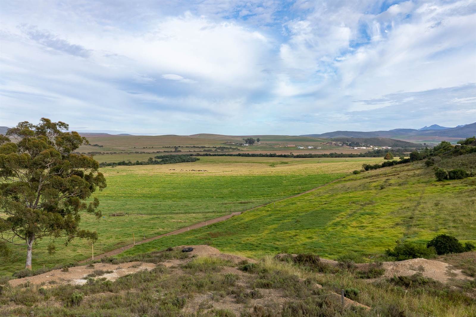 100 ha Farm in Riversdale photo number 13