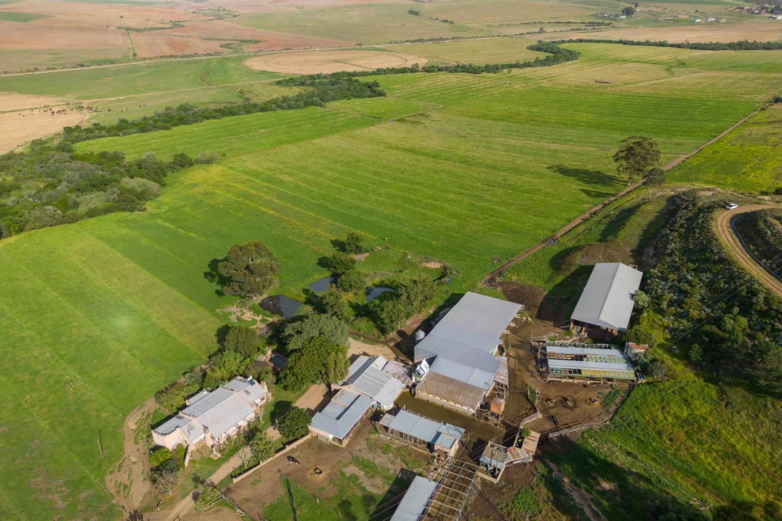 100 ha Farm in Riversdale photo number 6