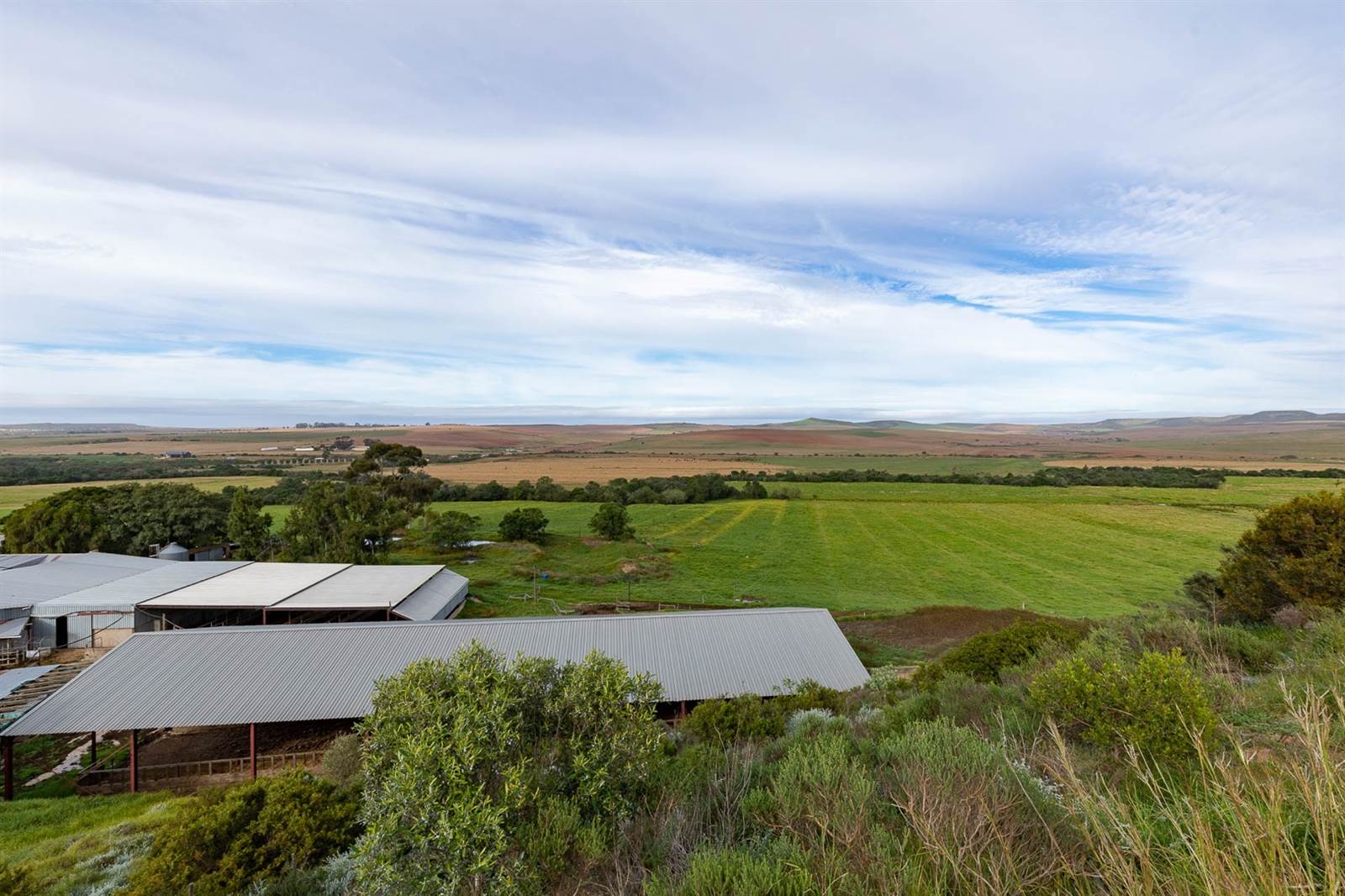 100 ha Farm in Riversdale photo number 8