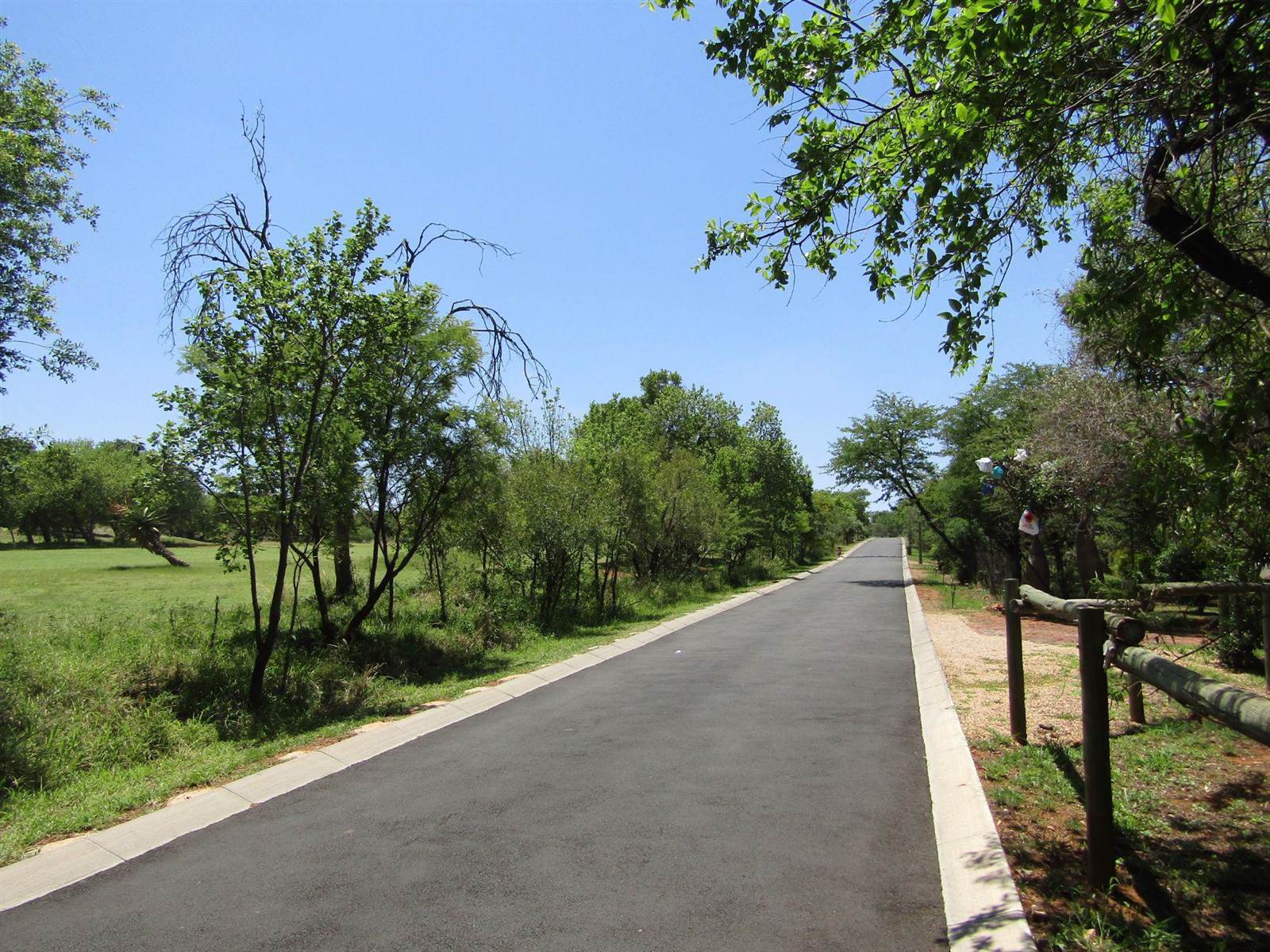 3 ha Land available in Bushveld Estate photo number 5