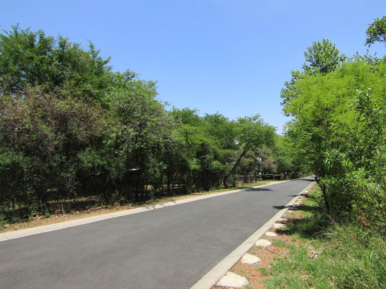 3 ha Land available in Bushveld Estate photo number 2