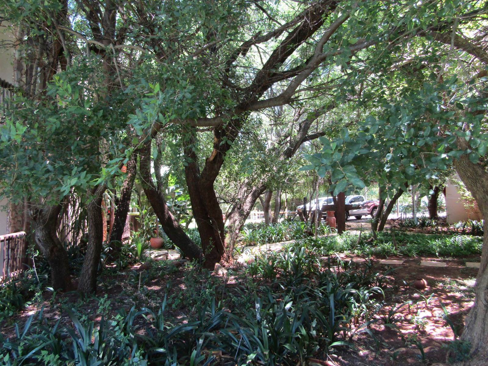 3 ha Land available in Bushveld Estate photo number 11