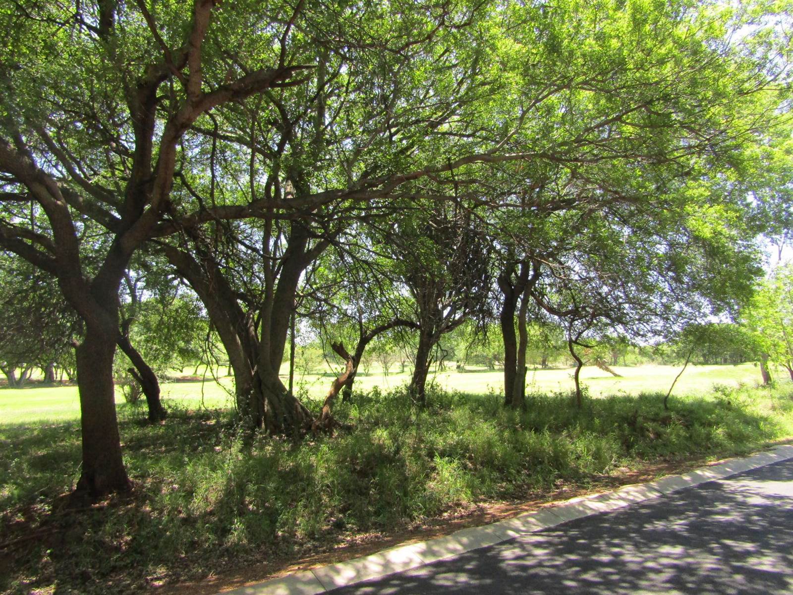 3 ha Land available in Bushveld Estate photo number 7