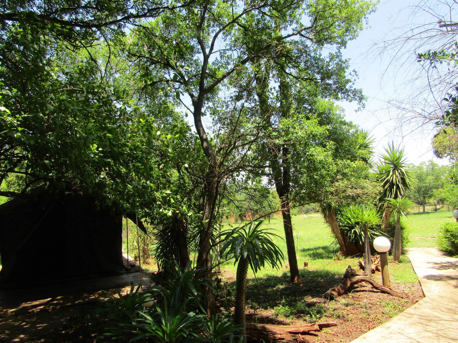 3 ha Land available in Bushveld Estate photo number 21