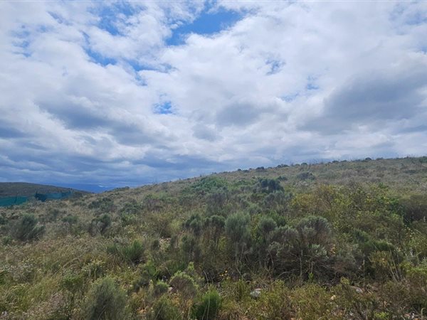 1635 m² Land available in Hartenbos