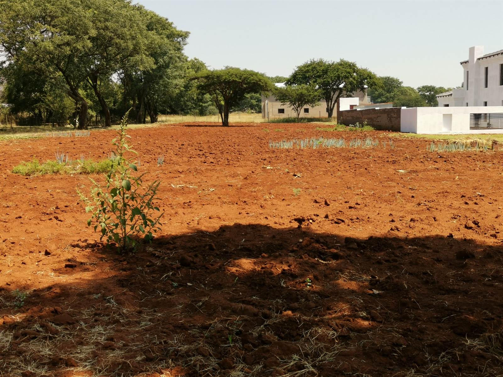 1.3 ha Land available in Kameeldrift East photo number 24