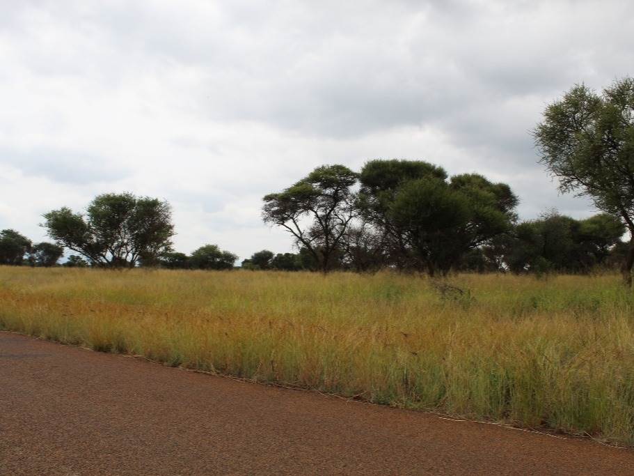 1250 m² Land available in Northam photo number 11