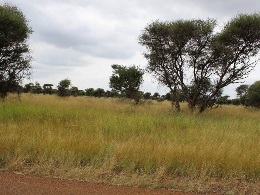 1250 m² Land available in Northam photo number 17