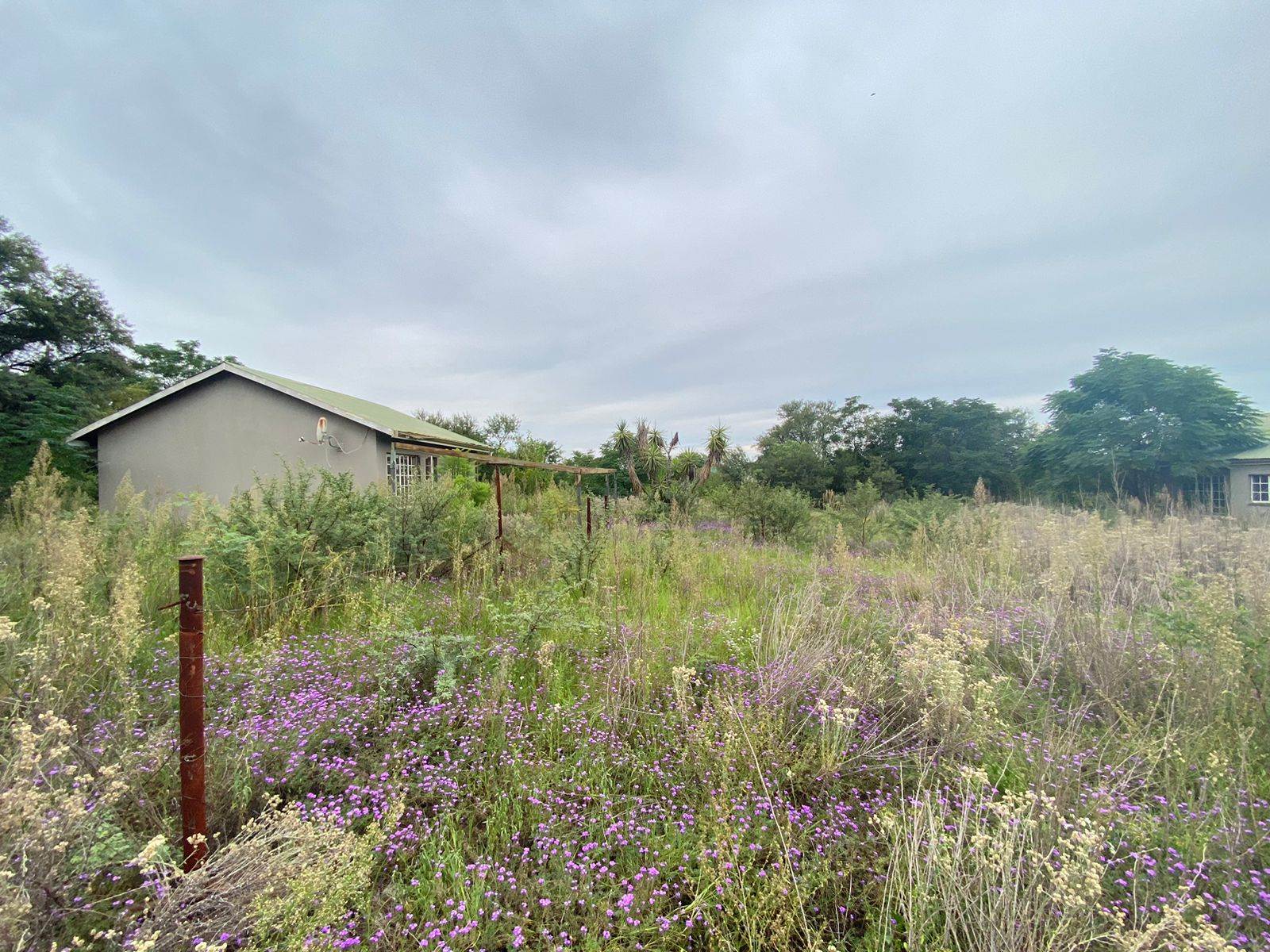1.2 ha Farm in Syferfontein photo number 4