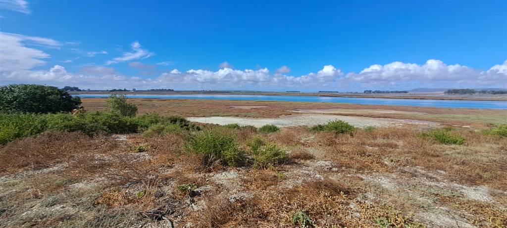 539 m² Land available in Port Owen photo number 12
