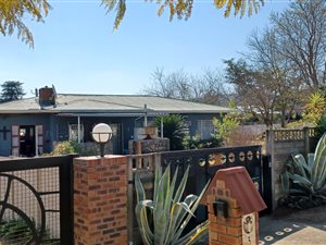 3 Bed House in Pioneer Park