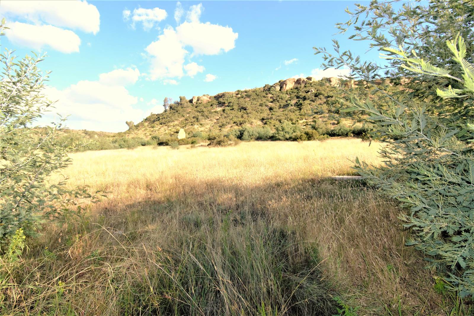 1180 m² Land available in Ladybrand photo number 3