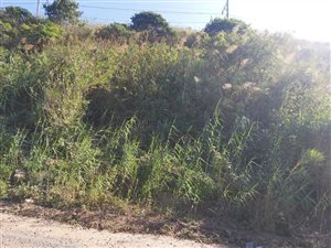 1624 m² Land available in Shallcross