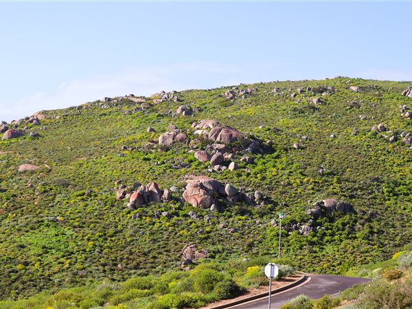 528 m² Land available in St Helena Views