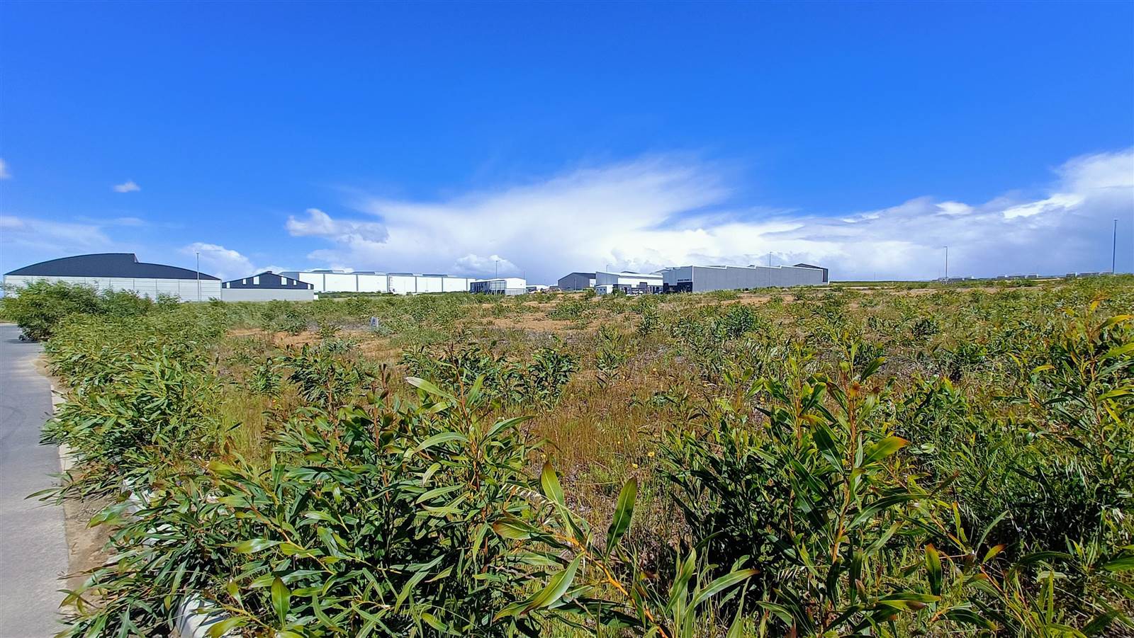 1580 m² Land available in Milnerton photo number 3