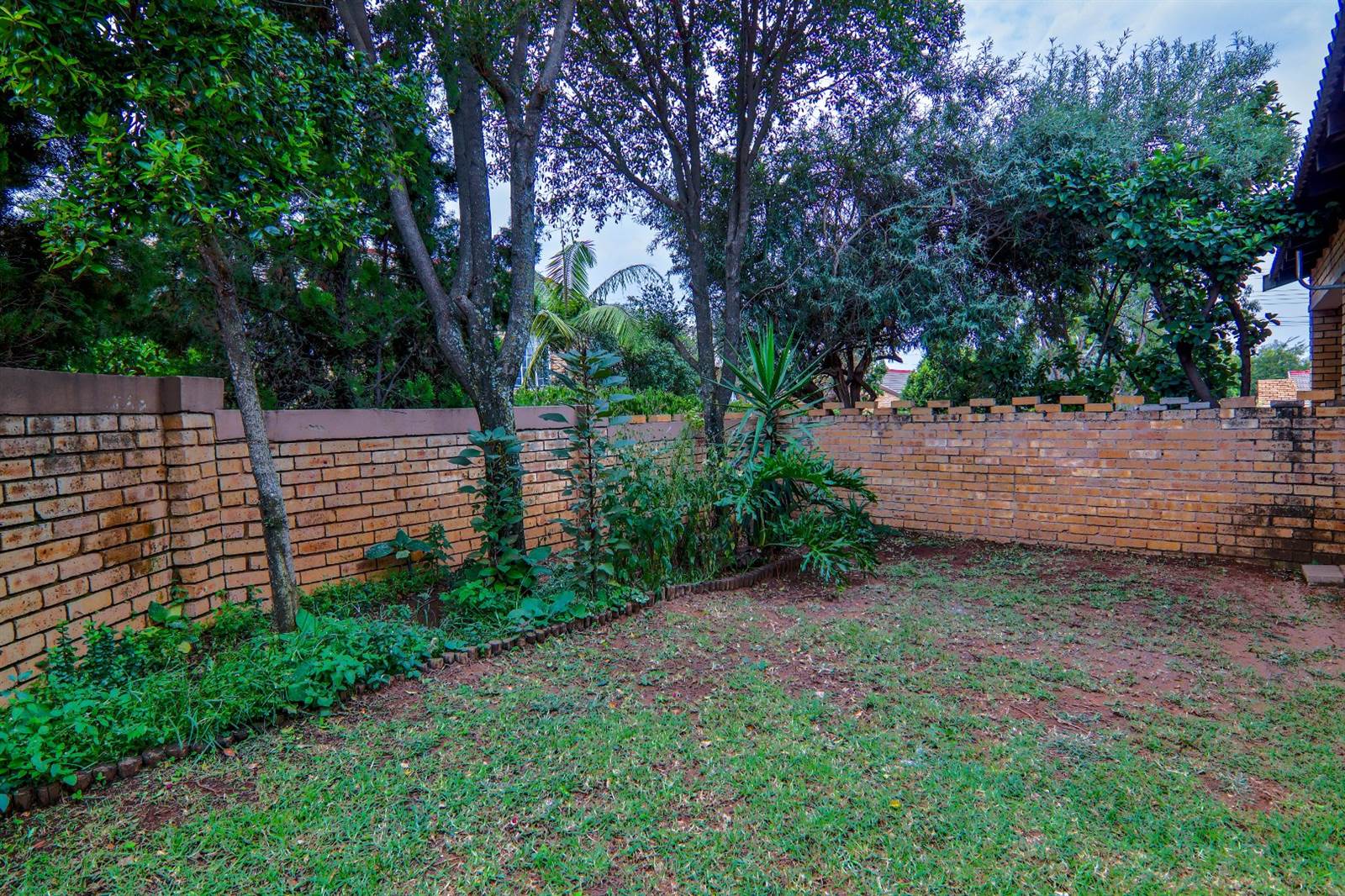 3 Bed Townhouse in Olivedale photo number 4