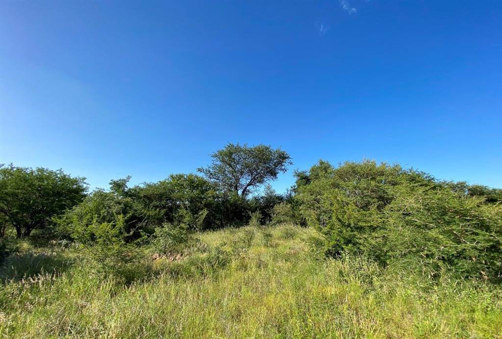 3055 m² Land available in Blyde Wildlife Estate photo number 11