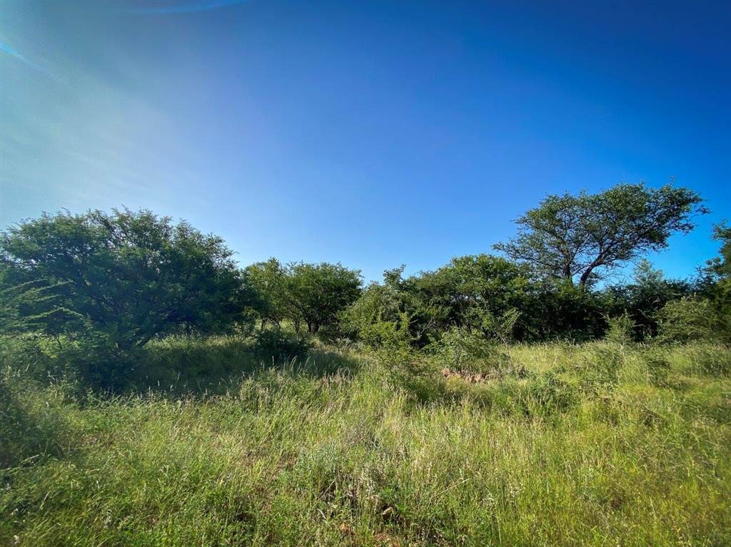 3055 m² Land available in Blyde Wildlife Estate photo number 12