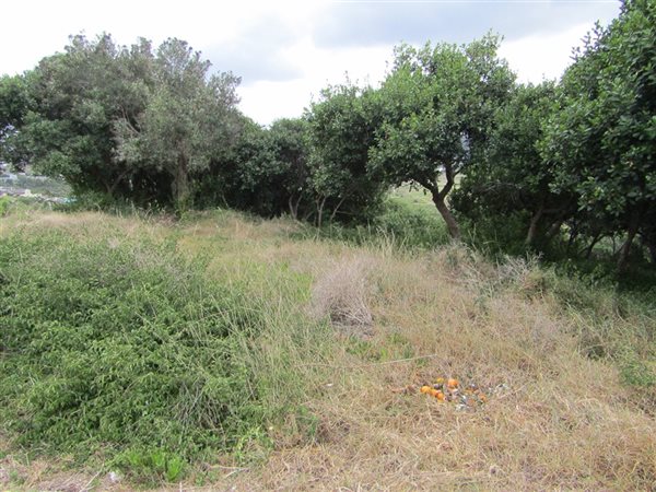 1 168 m² Land