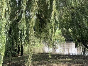 18.1 ha Land available in Pendale AH