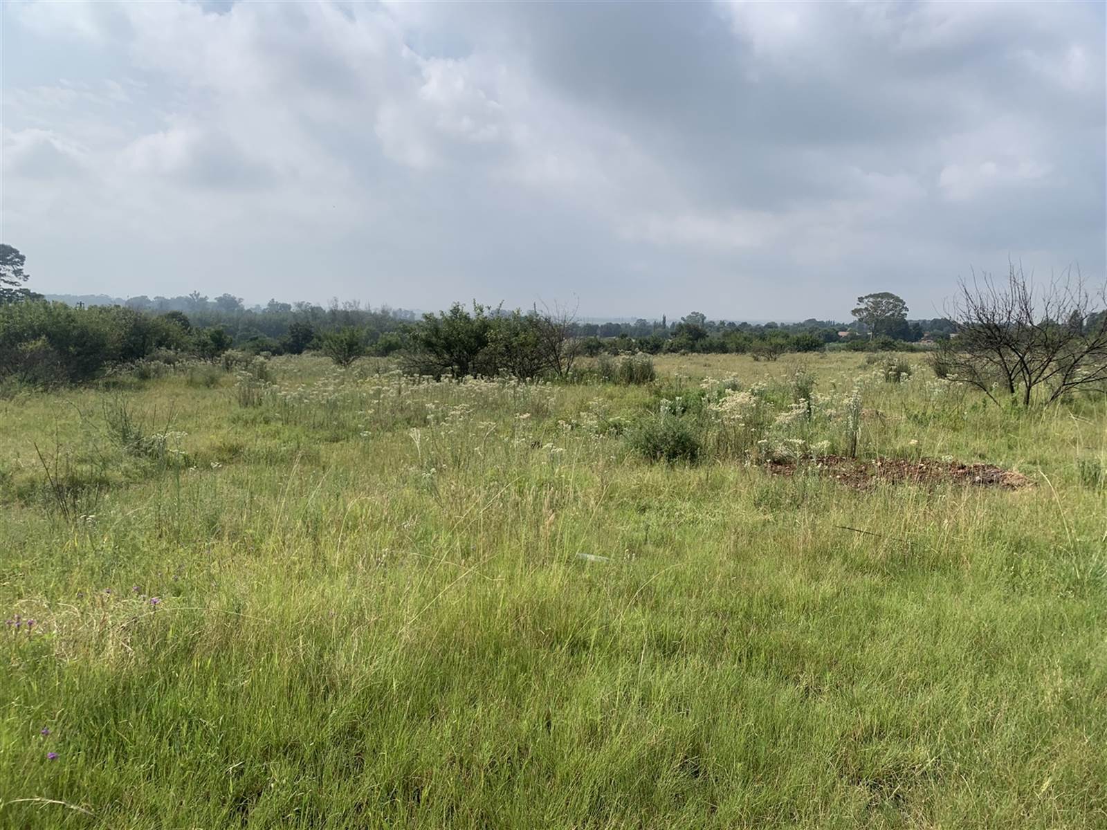 18.1 ha Land available in Pendale AH photo number 12