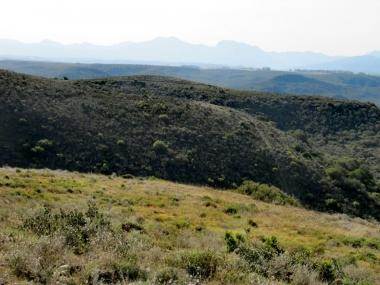 1631 m² Land available in Hartenbos photo number 11