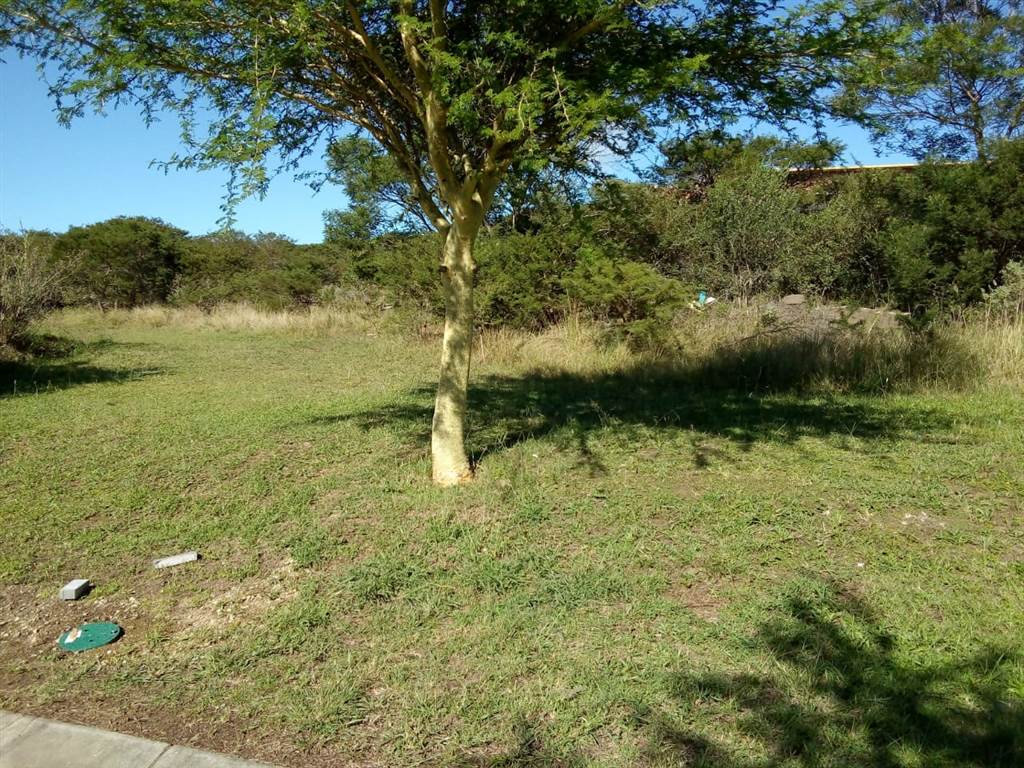 244 m² Land available in Beacon Bay photo number 6