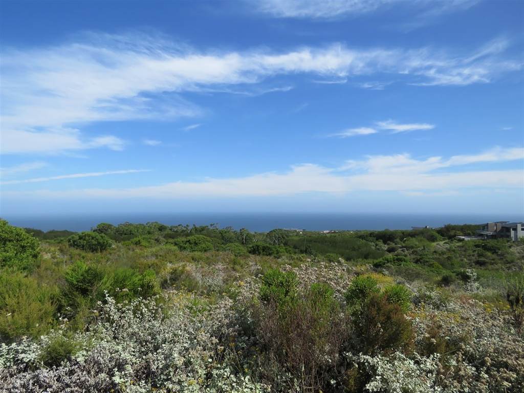 7570 m² Land available in Pezula Private Estate photo number 10