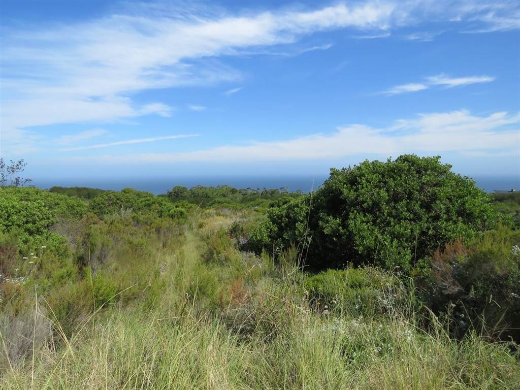 7570 m² Land available in Pezula Private Estate photo number 12