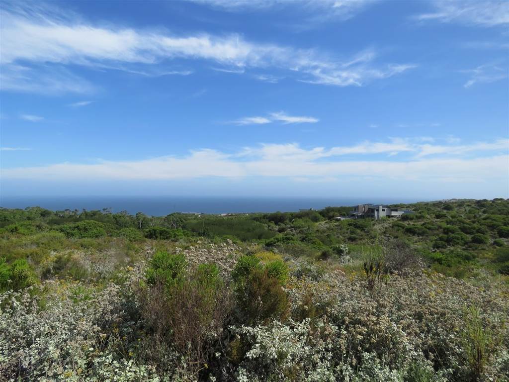 7570 m² Land available in Pezula Private Estate photo number 11
