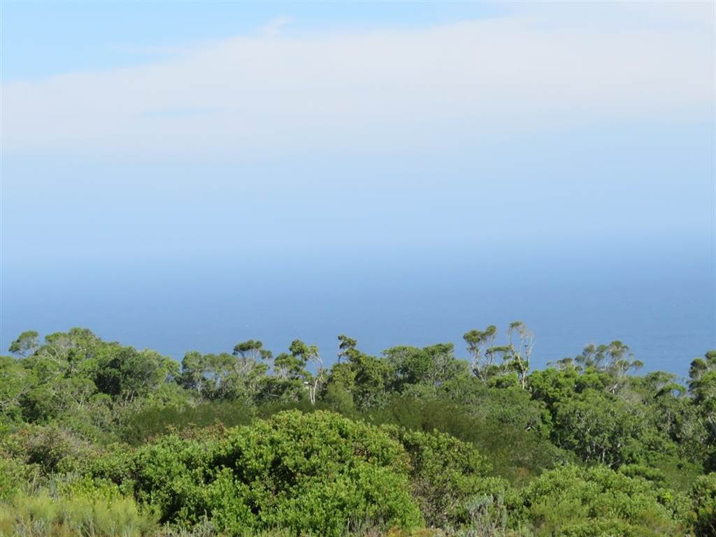 7570 m² Land available in Pezula Private Estate photo number 6