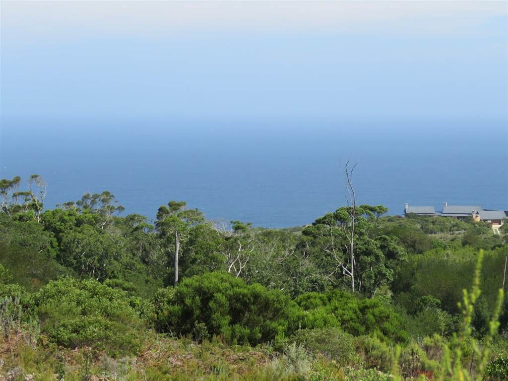 7570 m² Land available in Pezula Private Estate photo number 5