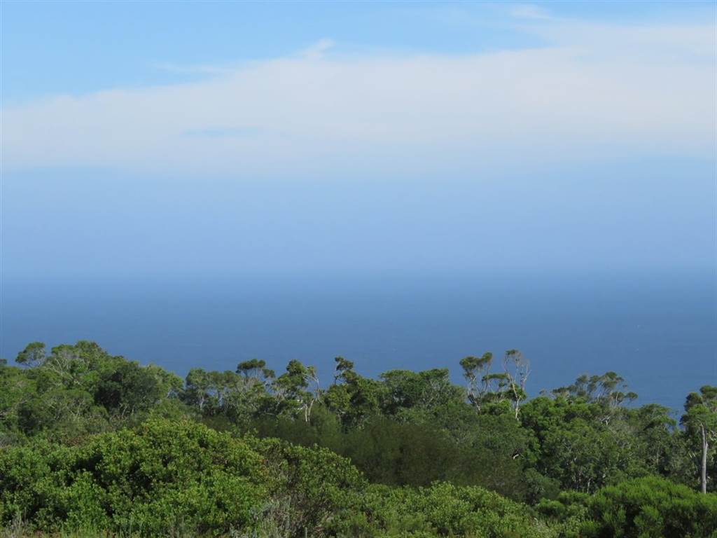 7570 m² Land available in Pezula Private Estate photo number 9