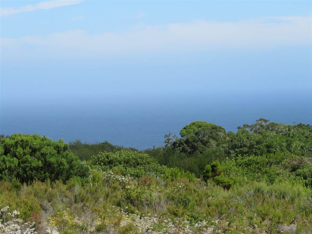 7570 m² Land available in Pezula Private Estate photo number 8