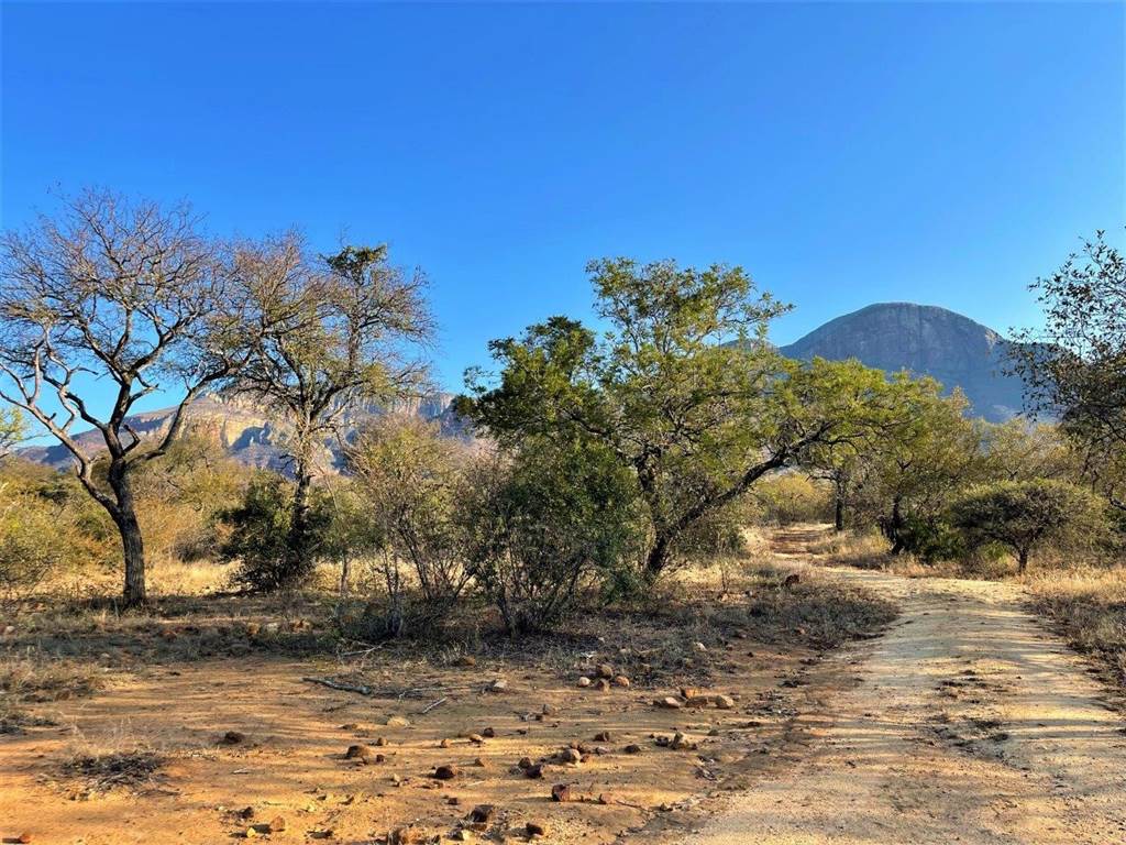 1 ha Land available in Hoedspruit photo number 6