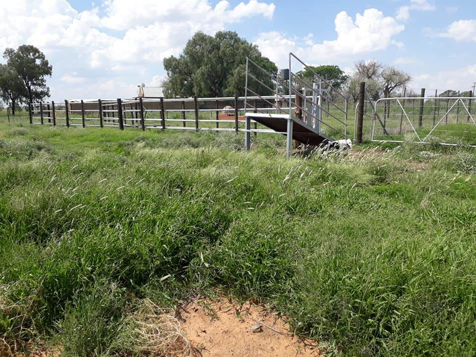 26 ha Farm in Bloemfontein photo number 2