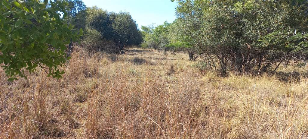 1500 m² Land available in Modimolle photo number 1