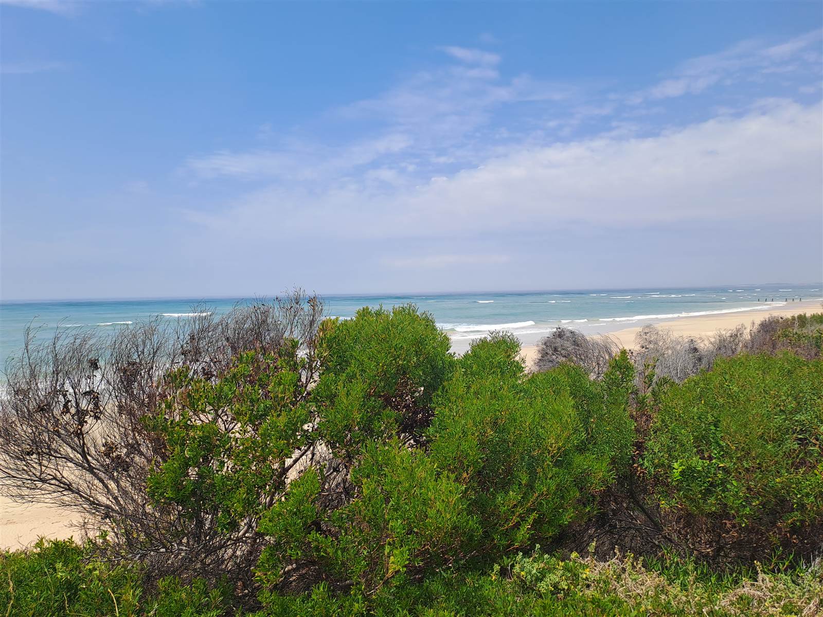 897 m² Land available in Paradise Beach photo number 4