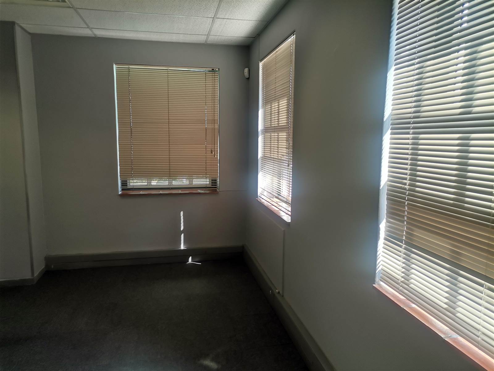 346  m² Commercial space in Rosebank photo number 3