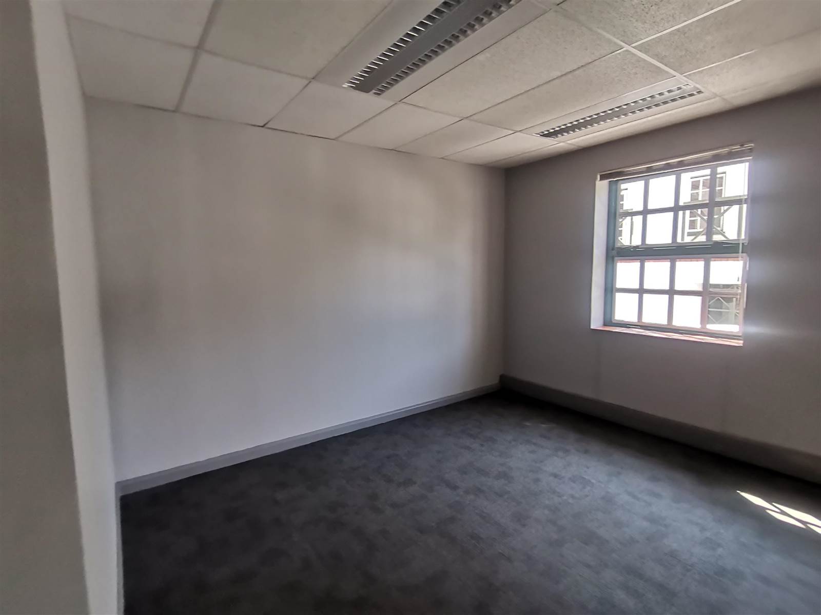 346  m² Commercial space in Rosebank photo number 14